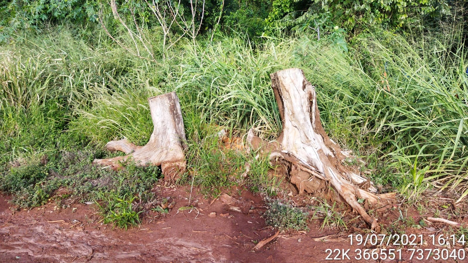 Agricultor é multado por desmatamento e descarte irregular de embalagens de agrotóxicos