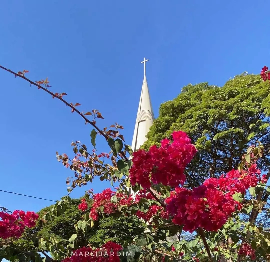 Maringá tem mínima de 2,3º nesta segunda-feira (19)