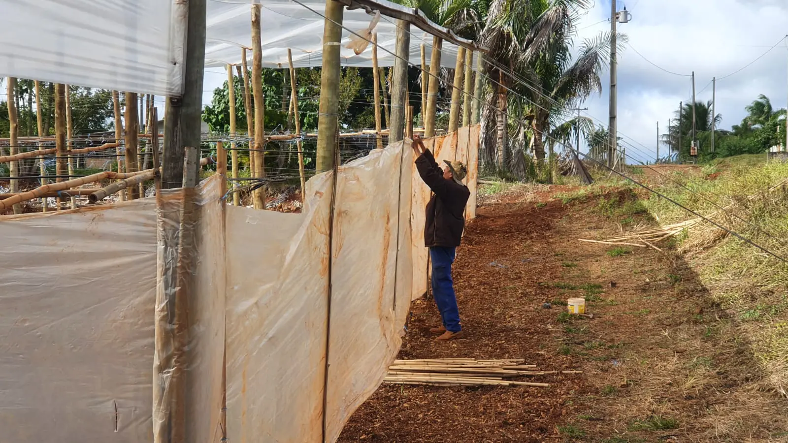 Produtores da região se preparam para geada que pode ocorrer na madrugada dessa quarta-feira (18)