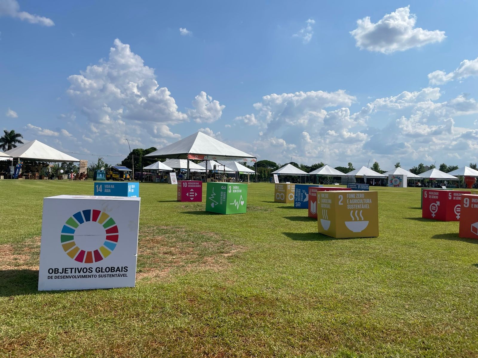 Arena Sustentável vai neutralizar emissão de CO2