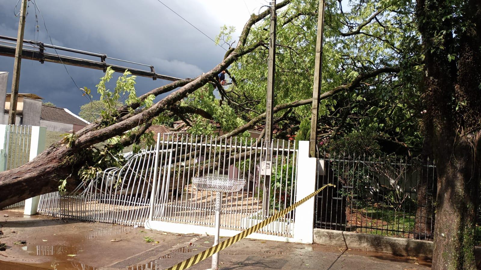 Temporal provoca estragos em Mandaguari