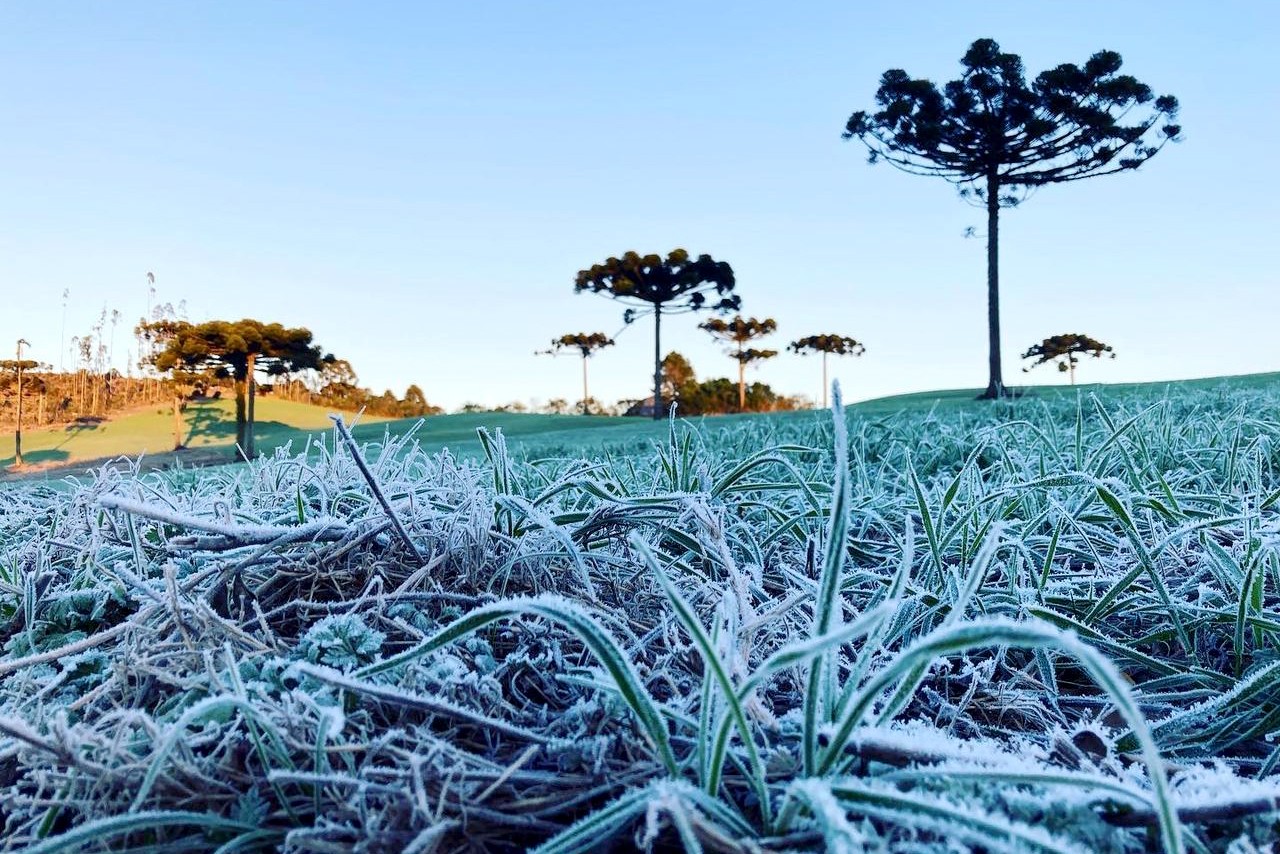 Inverno no Paraná deve ter poucas ondas de frio, dias sem chuva e geadas, prevê Simepar