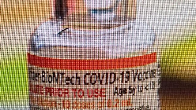 Anvisa autoriza vacina da Pfizer contra a Covid-19 para crianças de 5 a 11 anos
