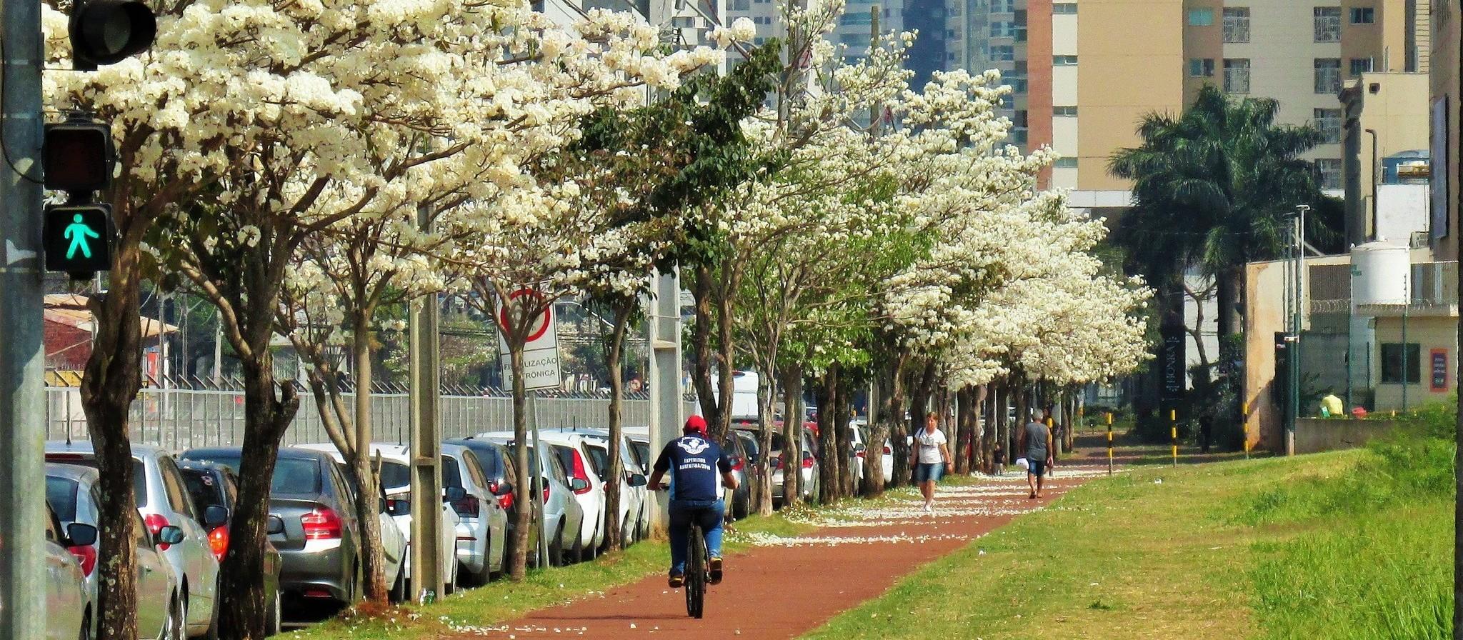 Por que Itaipu investe em ciclovias e caminhões de coleta seletiva?