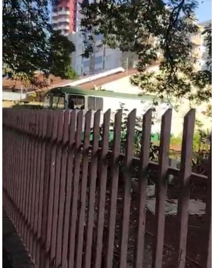 Vizinha de casa vazia, com muito mato, entulho e veículos abandonados pede ajuda