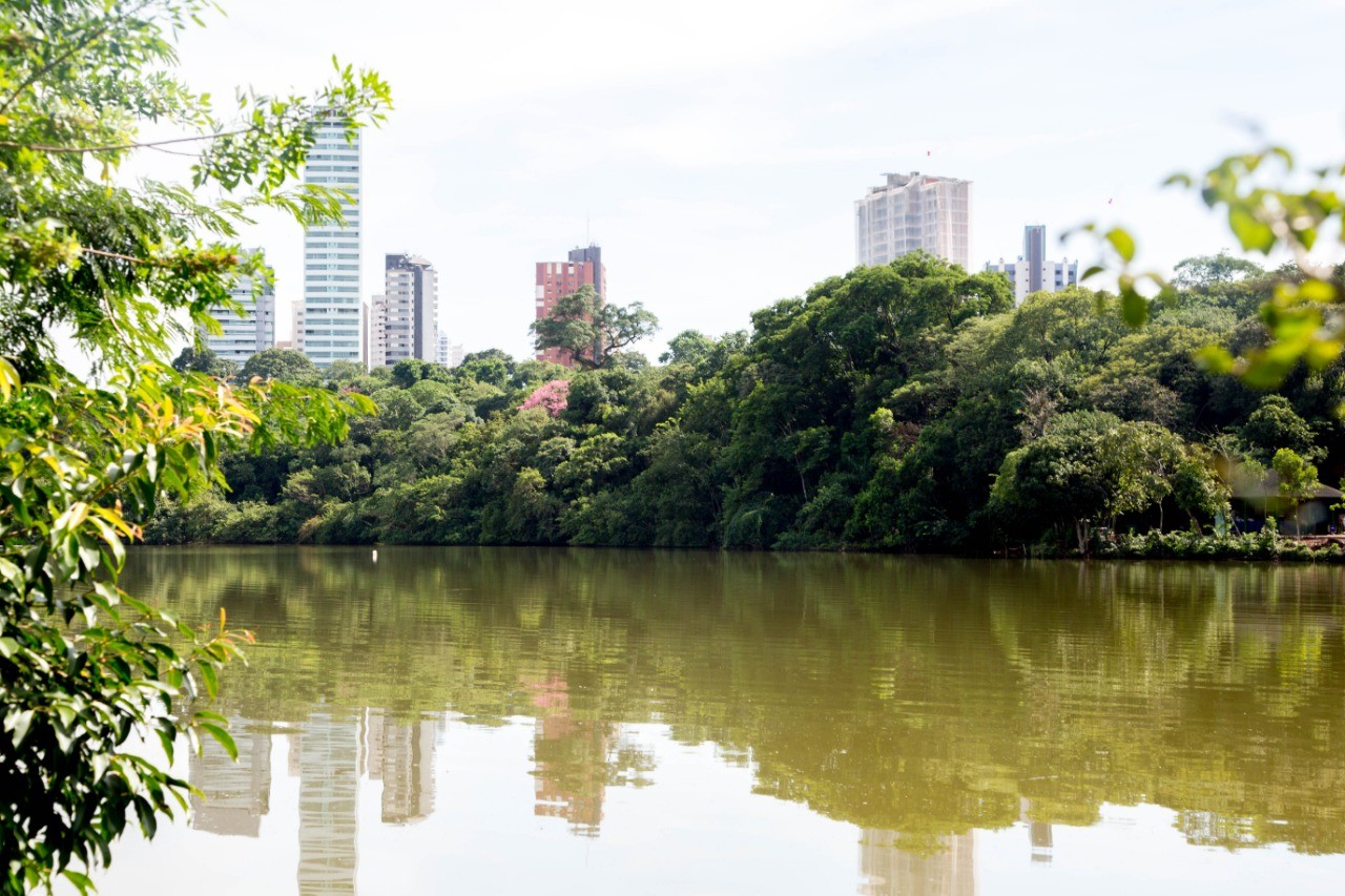 Lago do Parque do Ingá está ‘secando’ por falta de áreas permeáveis