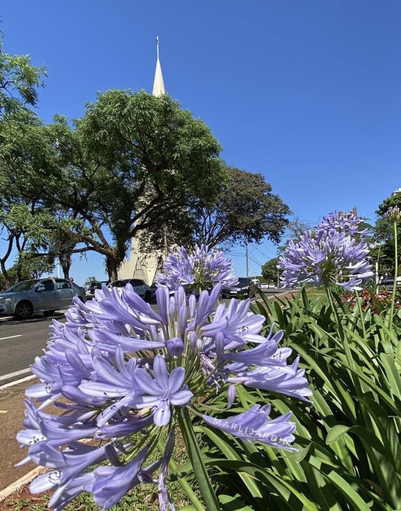 Temperatura pode chegar a 32 ºC neste sábado (28) em Maringá