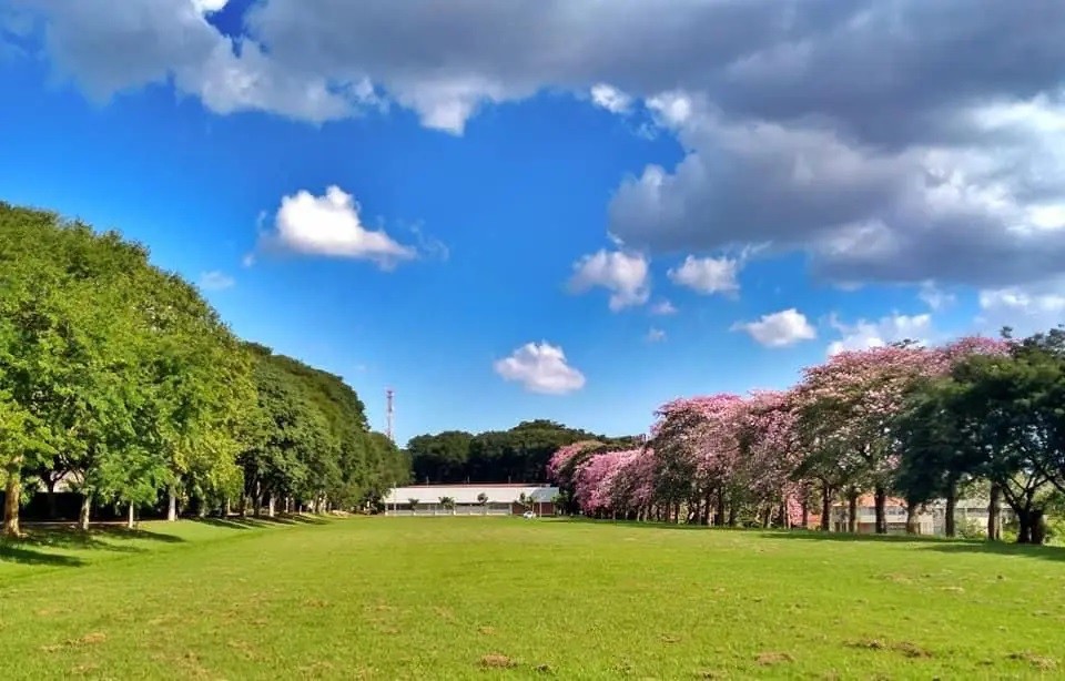 Maringá tem tempo firme e máxima de 30°C nesta sexta-feira, indica previsão