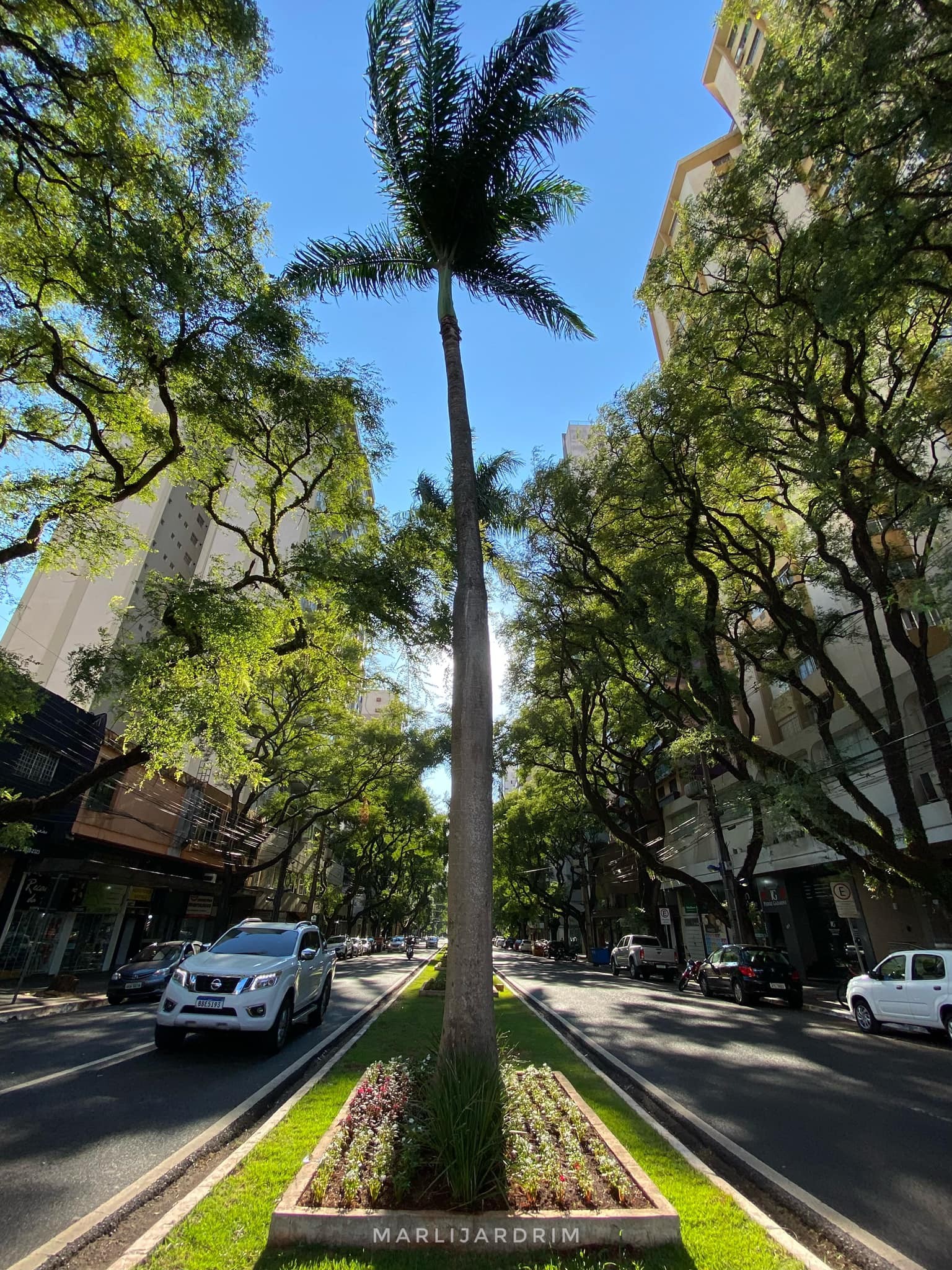 Quarta-feira ensolarada e com máxima de 29°C em Maringá