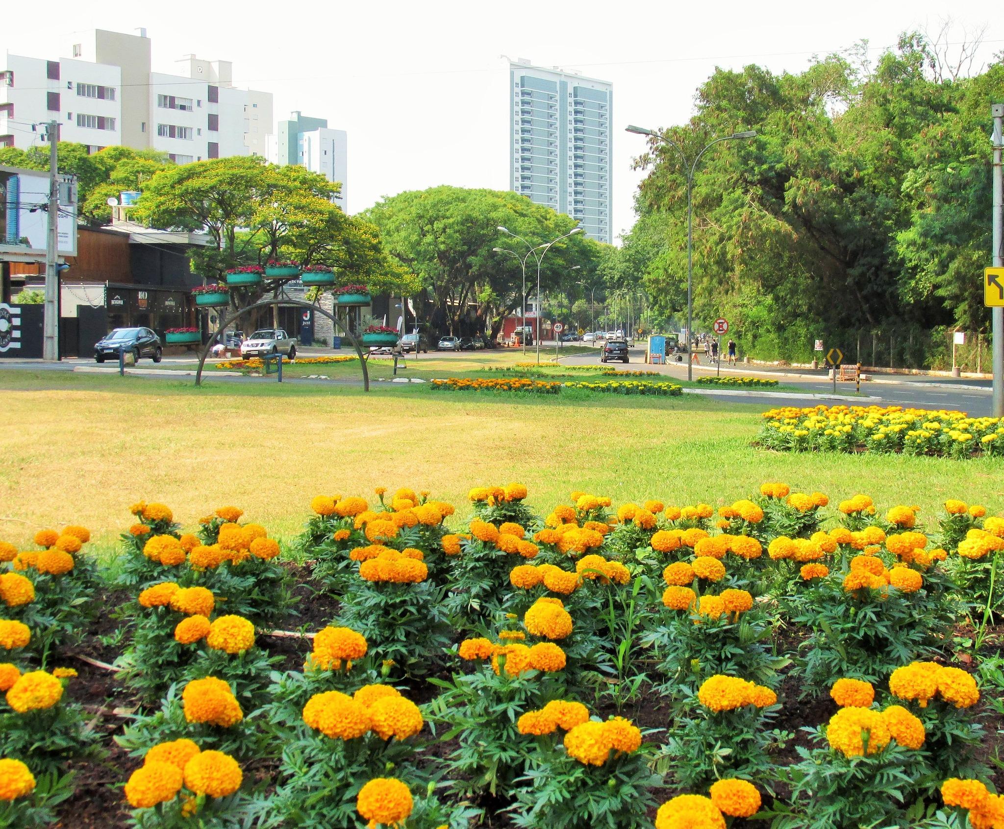 Quarta-feira (27) será de céu limpo e sem chuva em Maringá