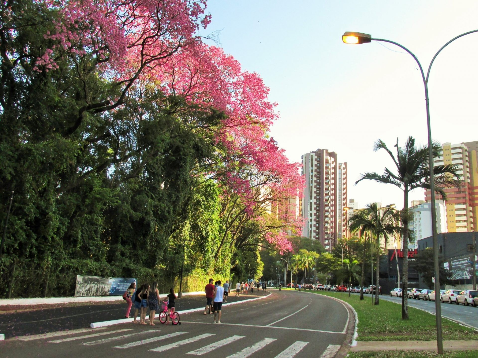 Terça-feira tem tempo quente e estável em Maringá, indica Simepar