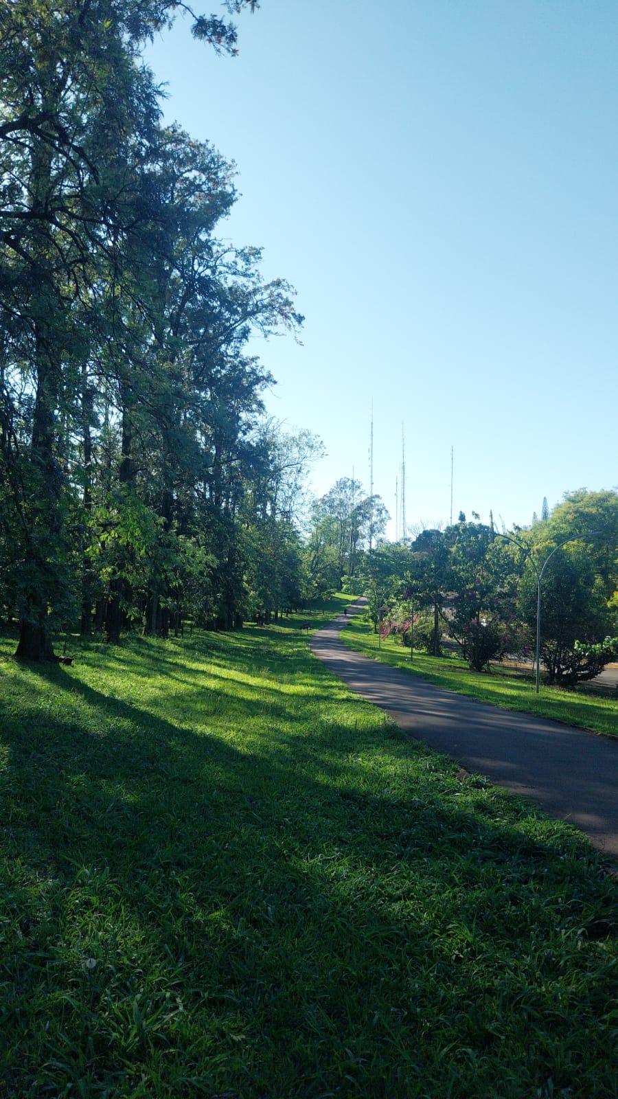 Confira a previsão do tempo para este sábado (25) em Maringá