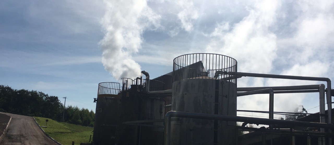 Procon autua abatedouro de aves em mais de R$ 1 milhão