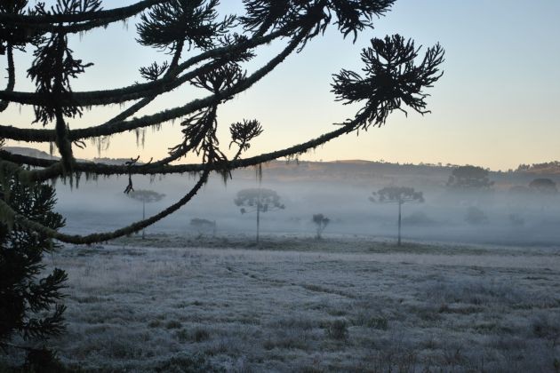 Serviço começa nessa terça-feira (8) e segue até 22 de setembro