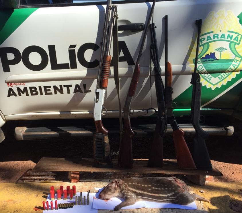 Cinco caçadores são presos e cães para caça são apreendidos