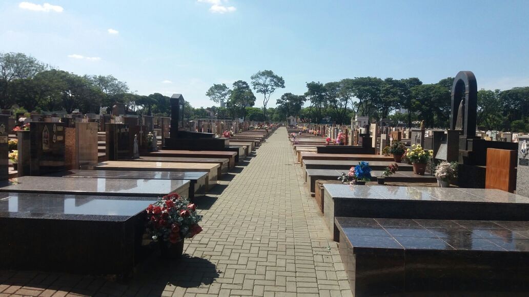 Floriculturas se preparam para Dia de Finados