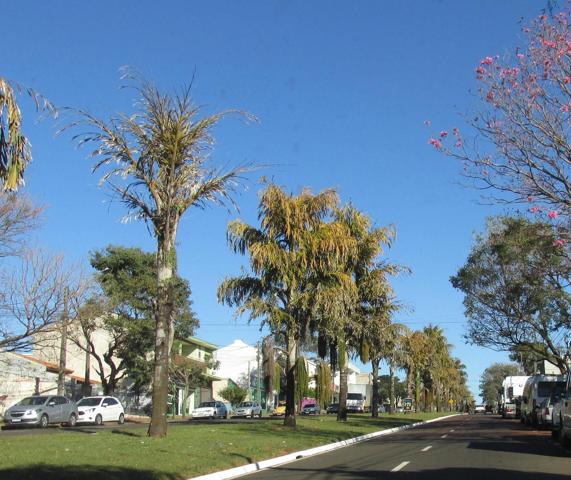 Sexta-feira (19) segue quente e ensolarada em Maringá; domingo (21) pode ter pancadas de chuva