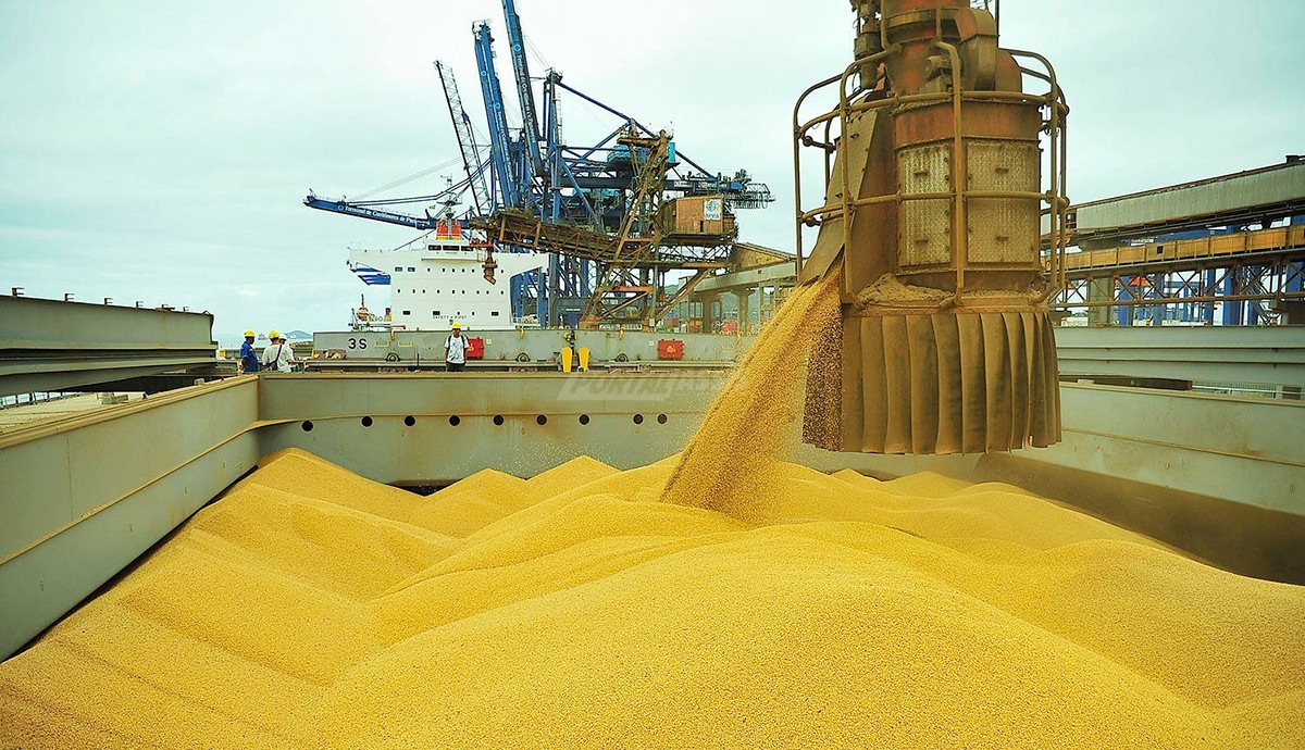 Preço da soja acentua trajetória de queda