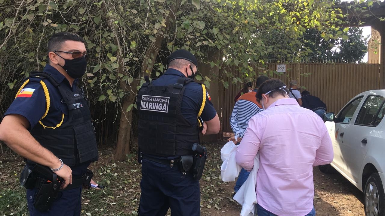 Dono de criação irregular de coelhos é multado em R$ 552 mil por maus-tratos