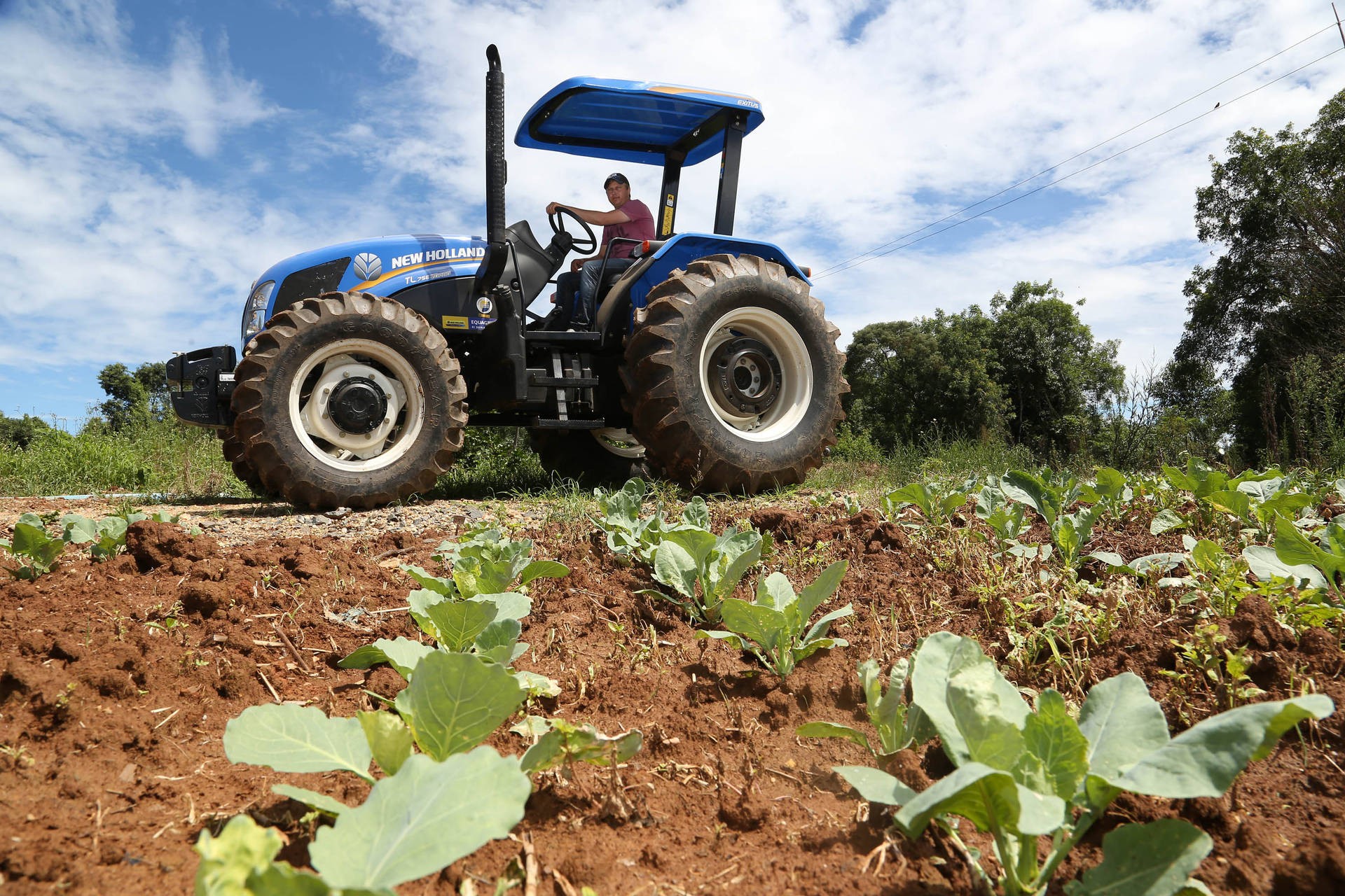 Produtor precisa fazer o Caepf que substitui o INSS para pessoa física