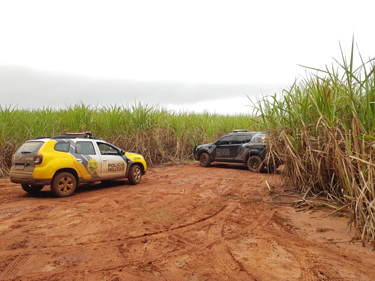 Dois suspeitos são mortos em confronto com a polícia, após roubo de carga na região