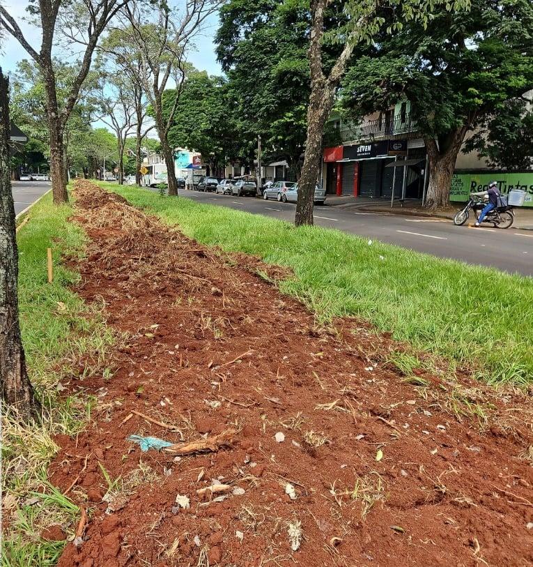 Veja como está a obra da ciclovia da Avenida Tuiuti em Maringá