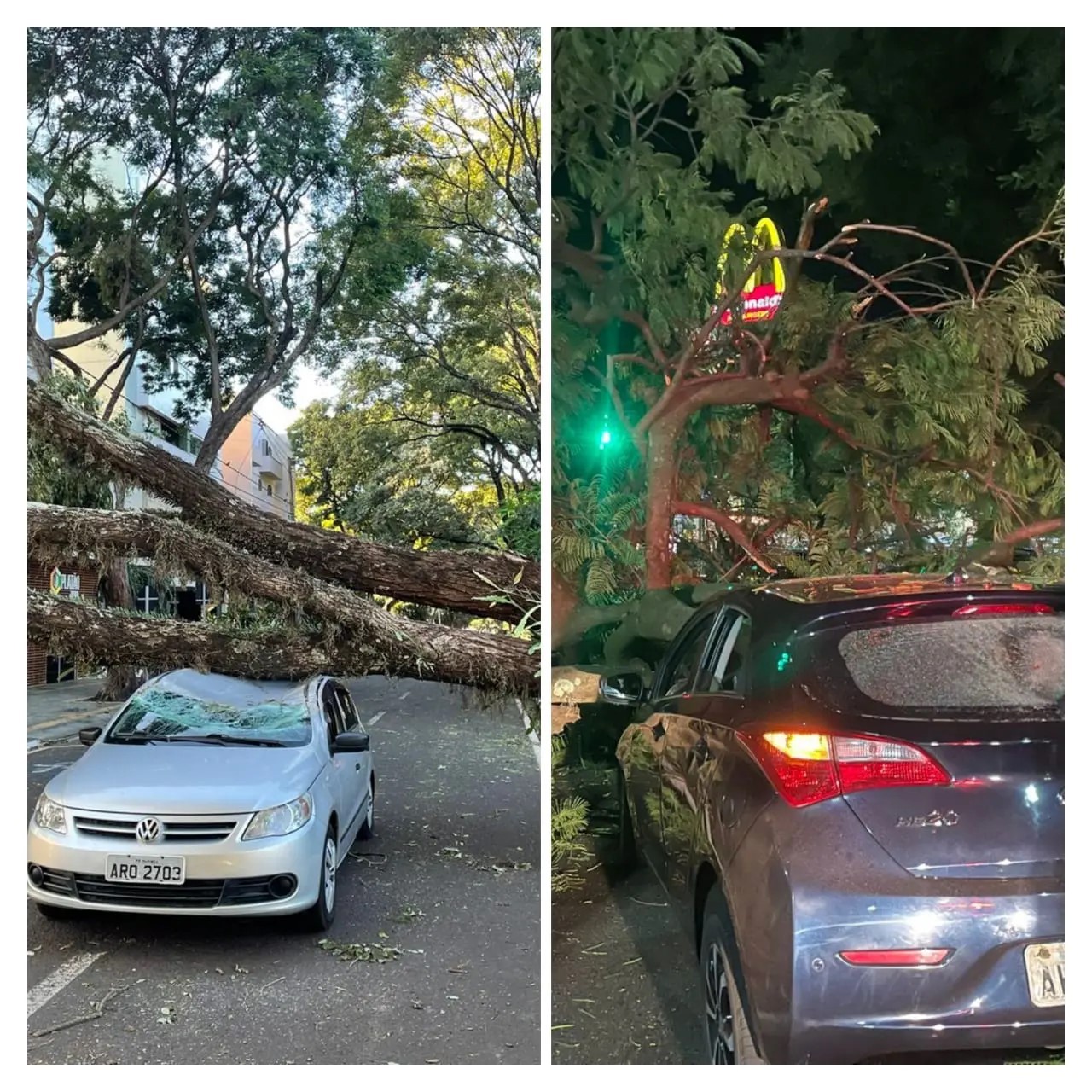 Árvores caem em cima de carros em movimento e assustam motoristas em Maringá