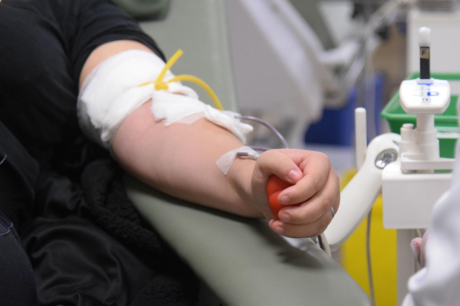 Dia Nacional do Doador de Sangue: o que motiva doadores voluntários?