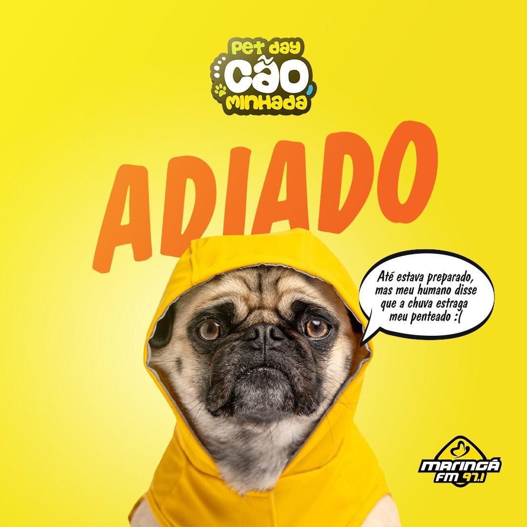 Petday Cãominhada 2019 é adiado por causa da chuva