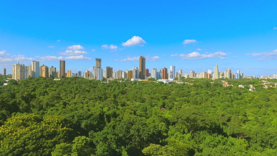 “Vamos zerar fila para retirada de árvores este ano”, diz prefeito