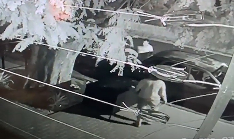 Após vídeo viralizar, polícia identifica casal que furtou container