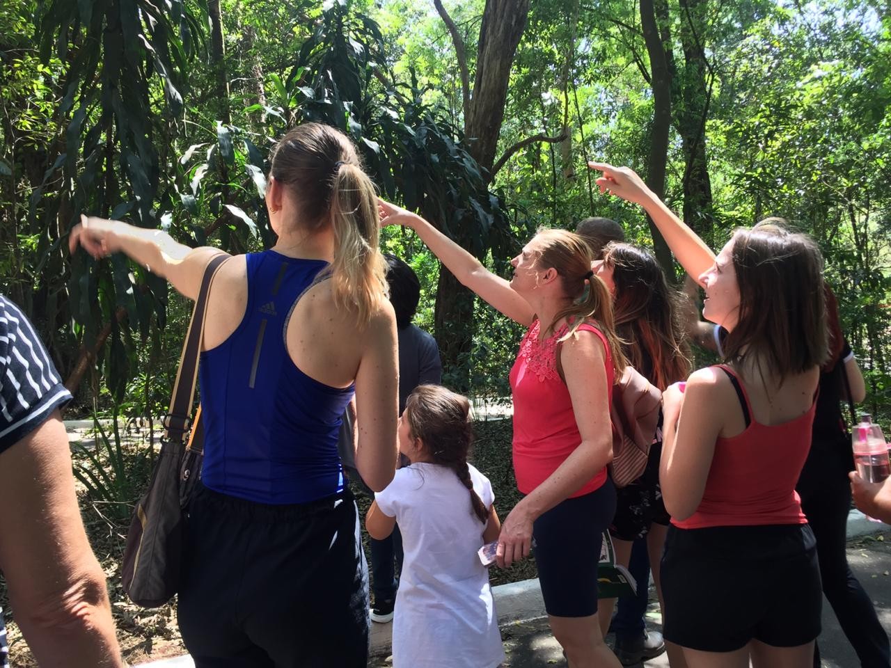 “Passaringá” promove observação no Parque do Ingá