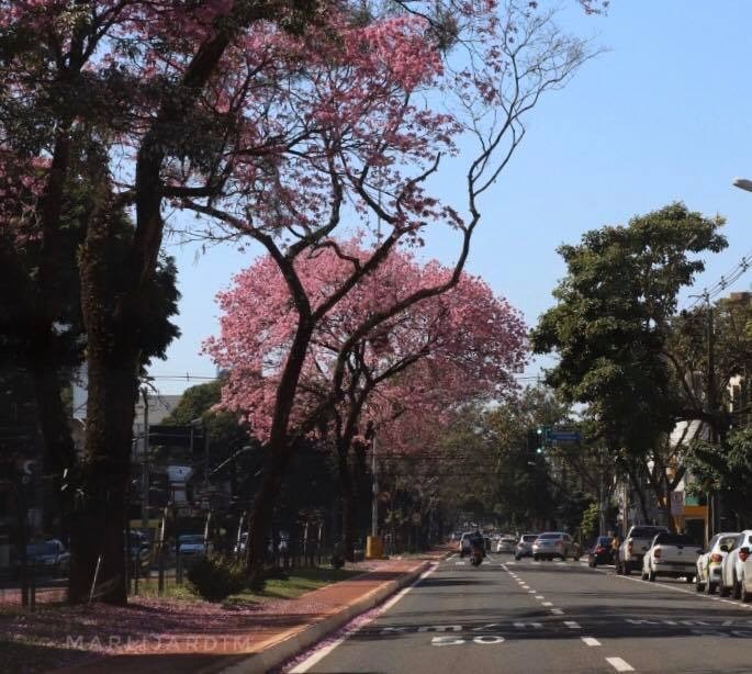 Confira a previsão do tempo para este domingo (6)