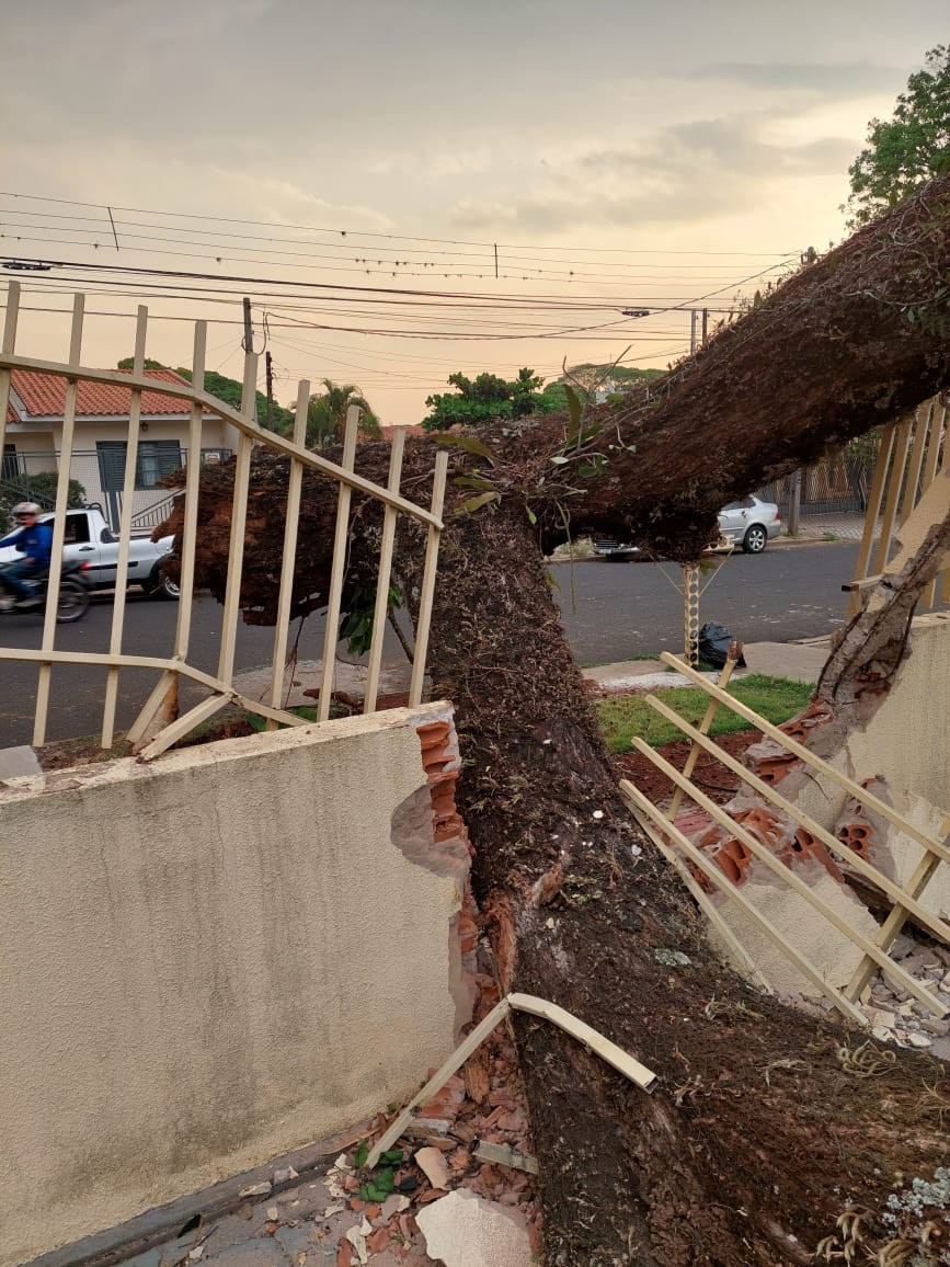 Chuvas e ventos fortes causam estragos na região noroeste