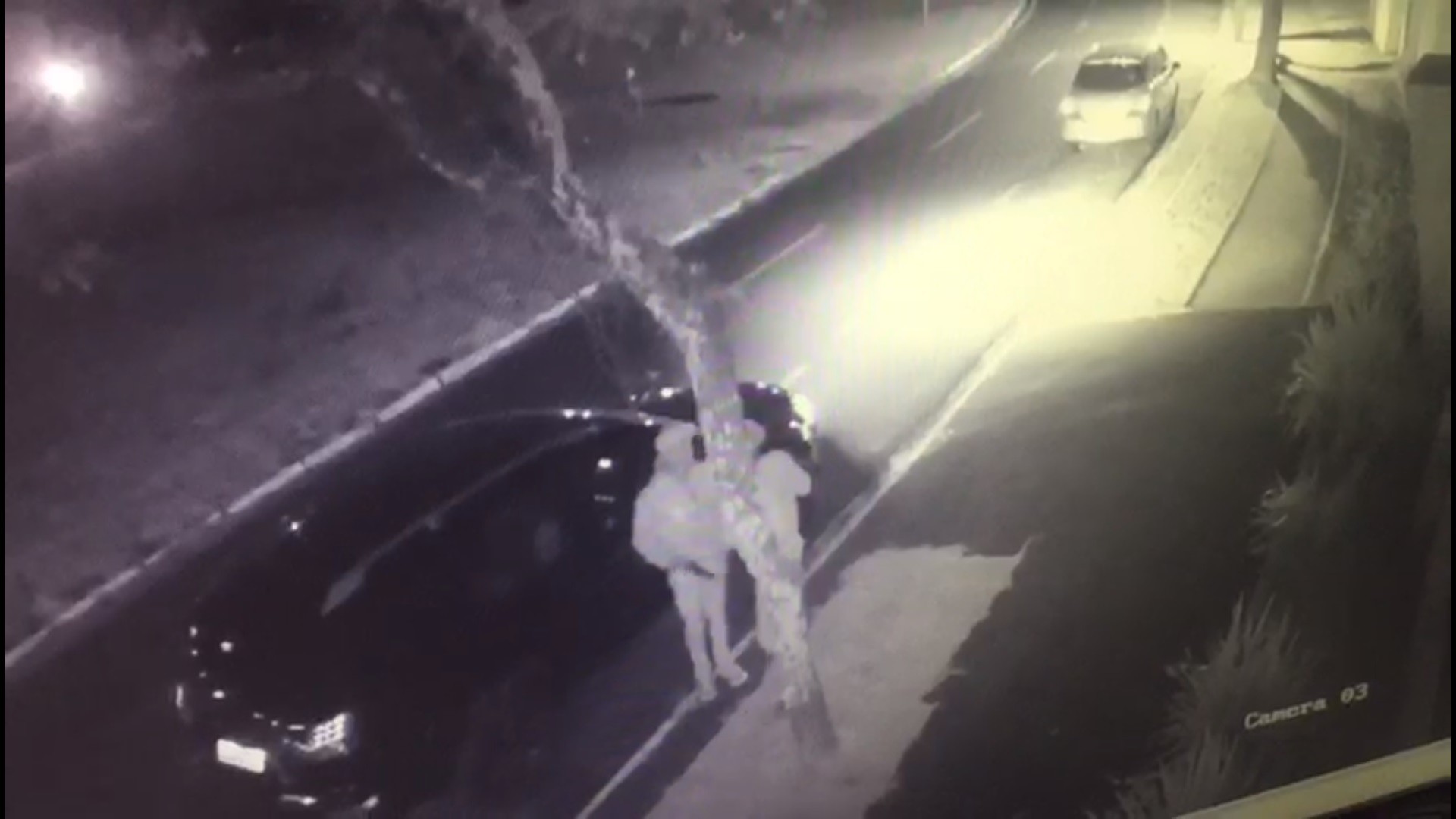 Polícia prende suspeitos de roubar caminhonete e agredir motorista