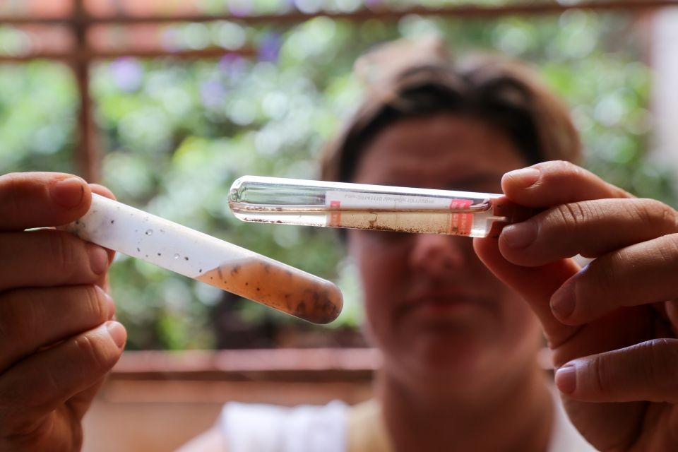 Maringá registra mais de 200 casos de dengue em uma semana, aponta Sesa