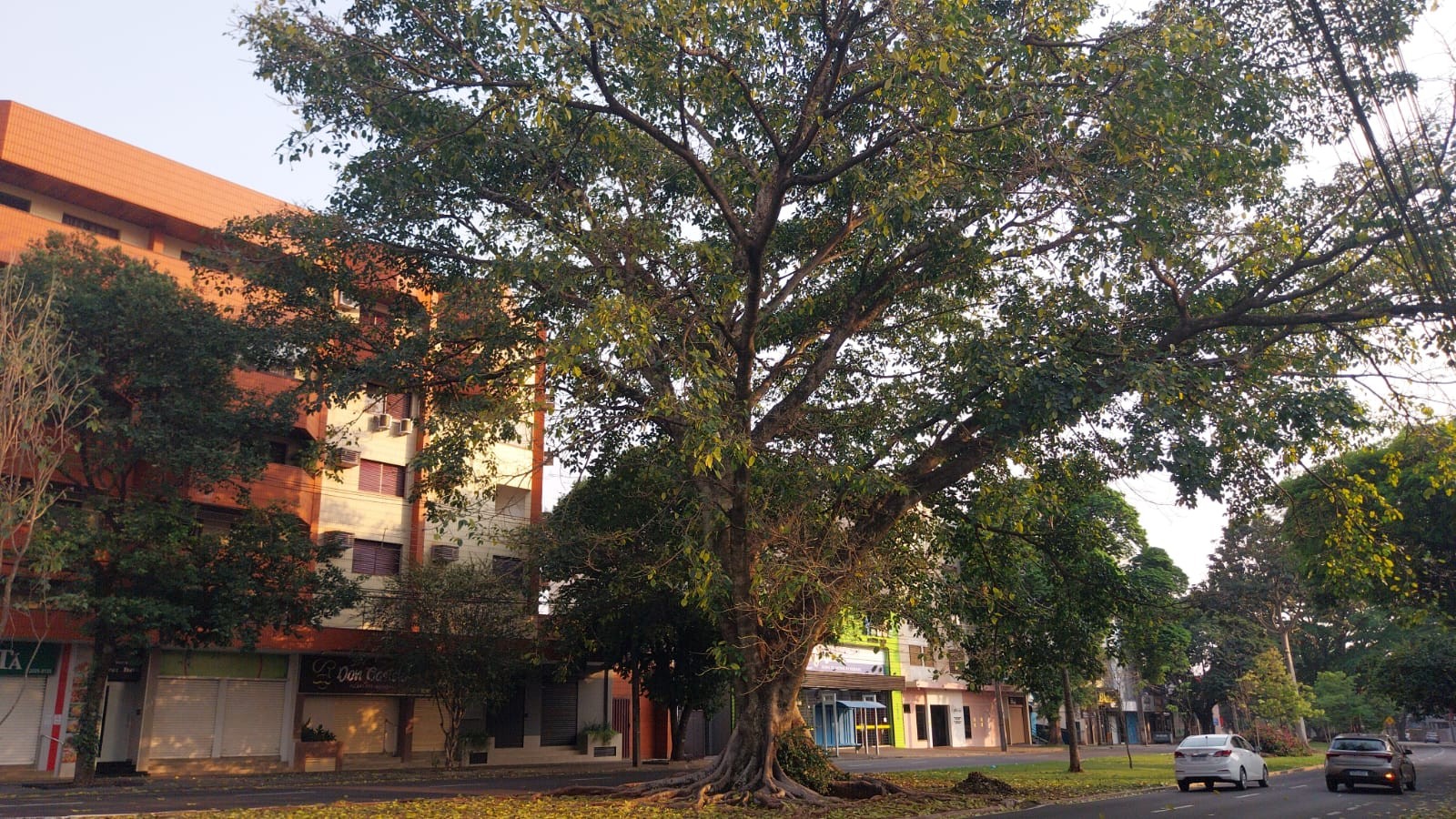 Domingo (8) de sol e muito calor em Maringá e no Paraná