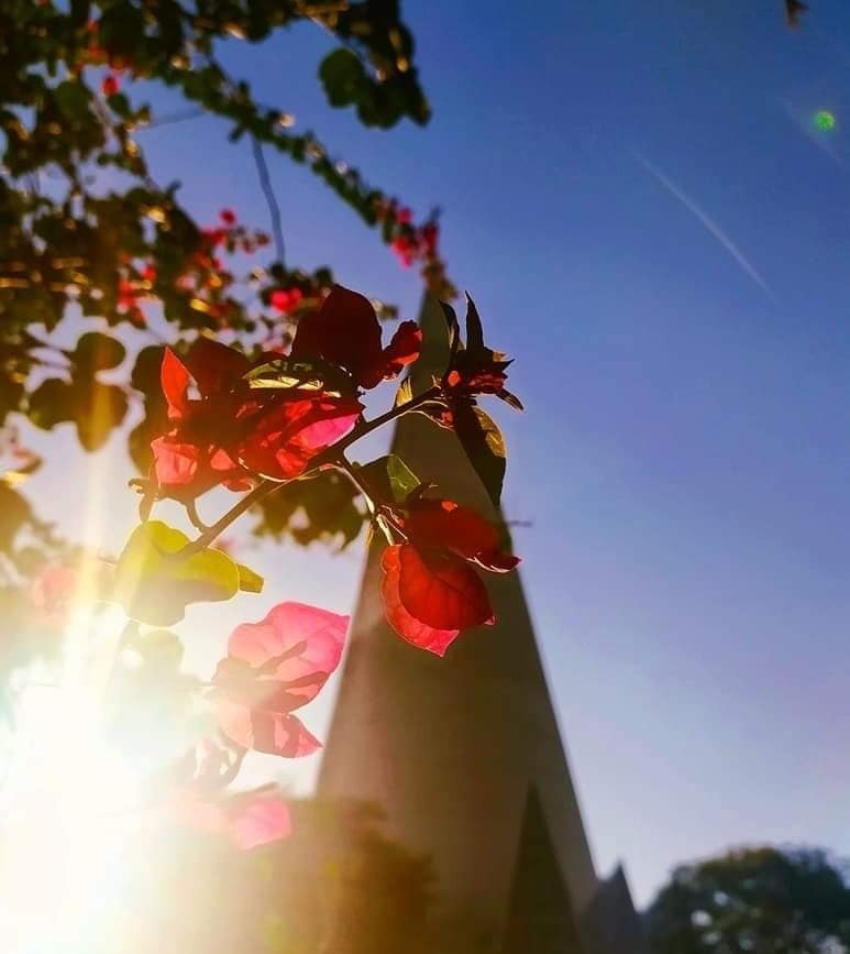 Maringá segue com tempo estável e temperaturas elevadas, indica Simepar