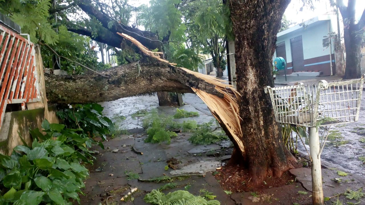 Novo temporal acumula estragos em Maringá