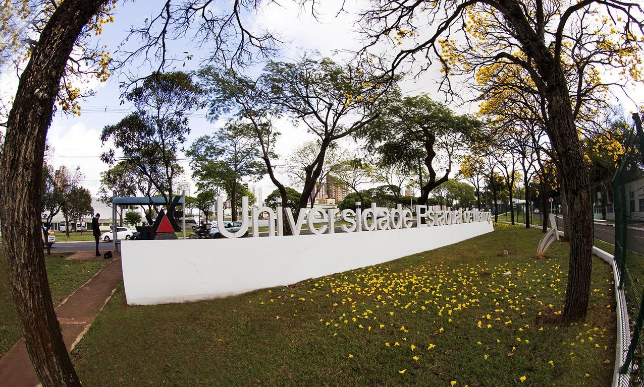 UEM realiza teste seletivo para preencher vagas em quatro câmpus