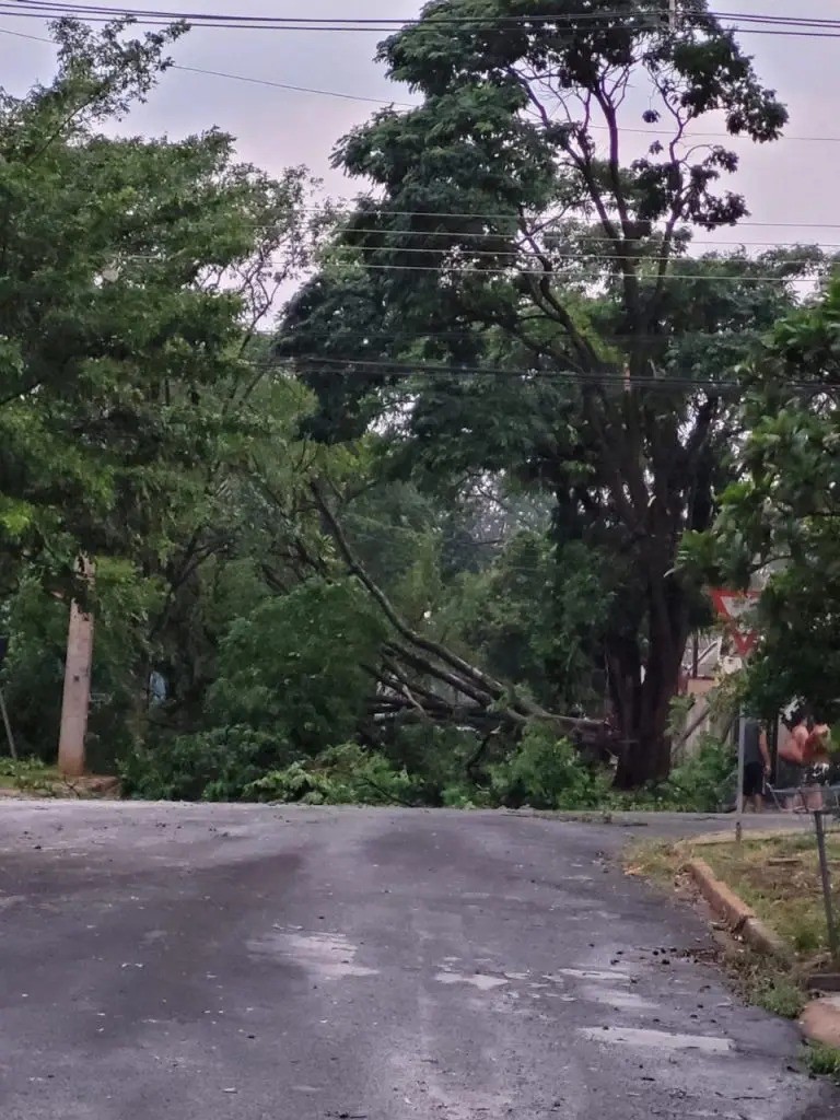 O dia depois do temporal: Veja balanço dos estragos da chuva em Maringá