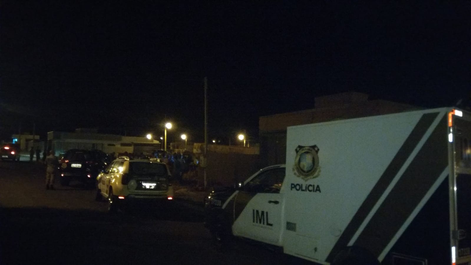 Professora aposentada é morta com uma pedrada em Fênix