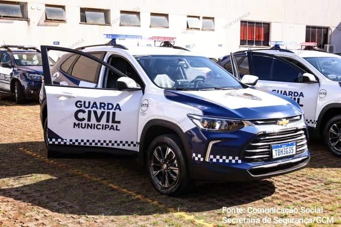 Moradora pode ser multada por poda irregular de árvore, diz GCM