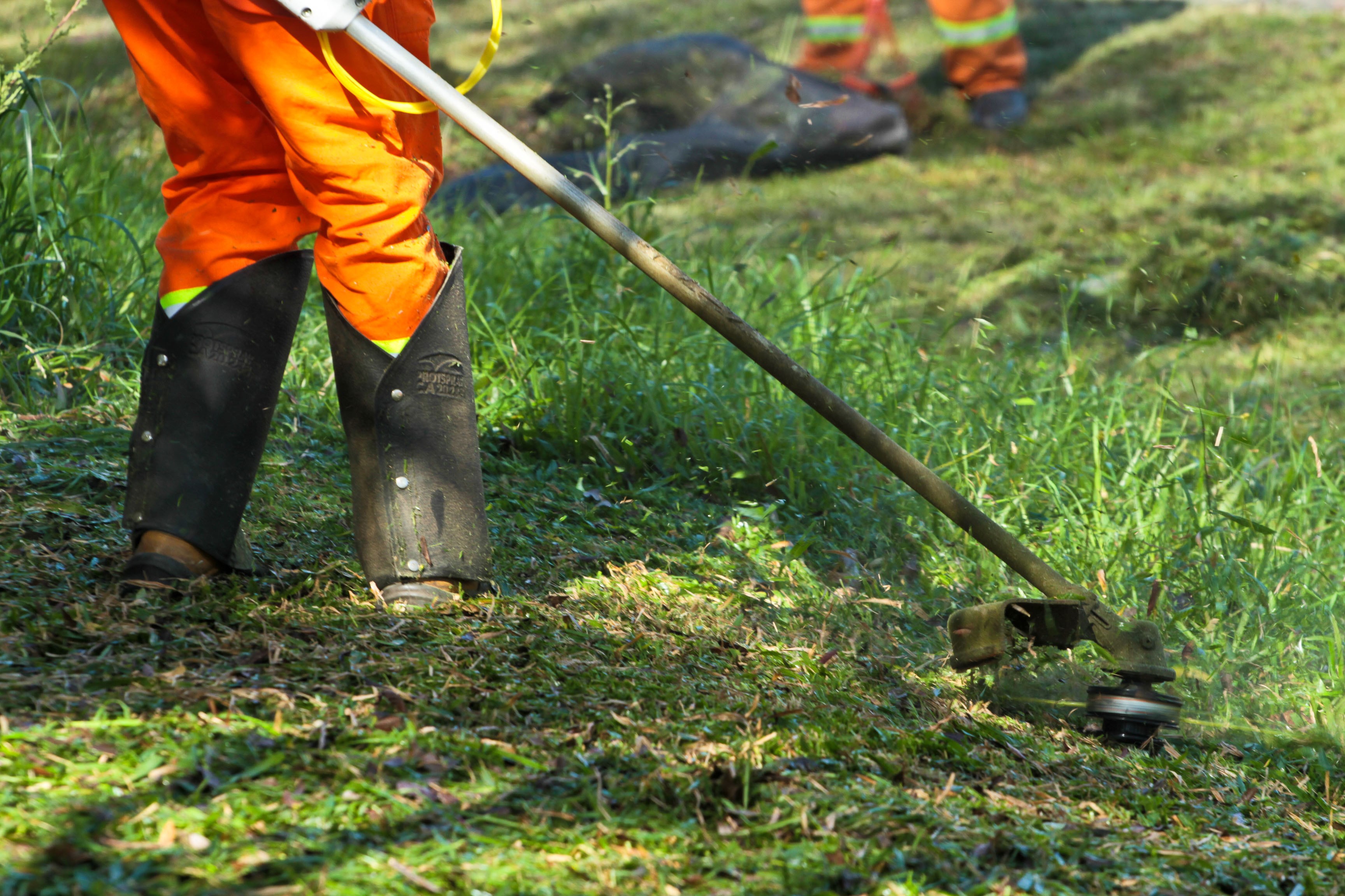 Após polêmica envolvendo roçadas, licitação para o serviço é publicada