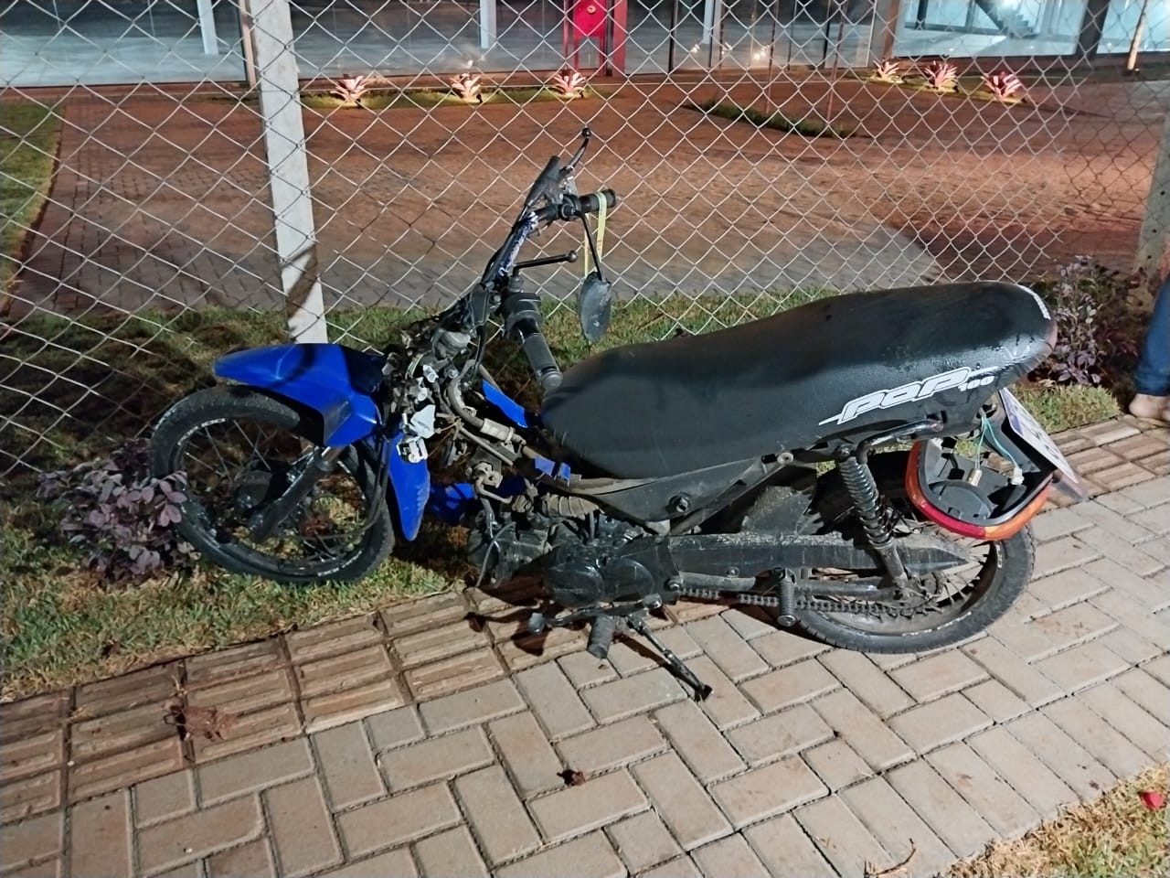 Animal solto na pista causa acidente na rodovia e deixa motociclista gravemente ferido