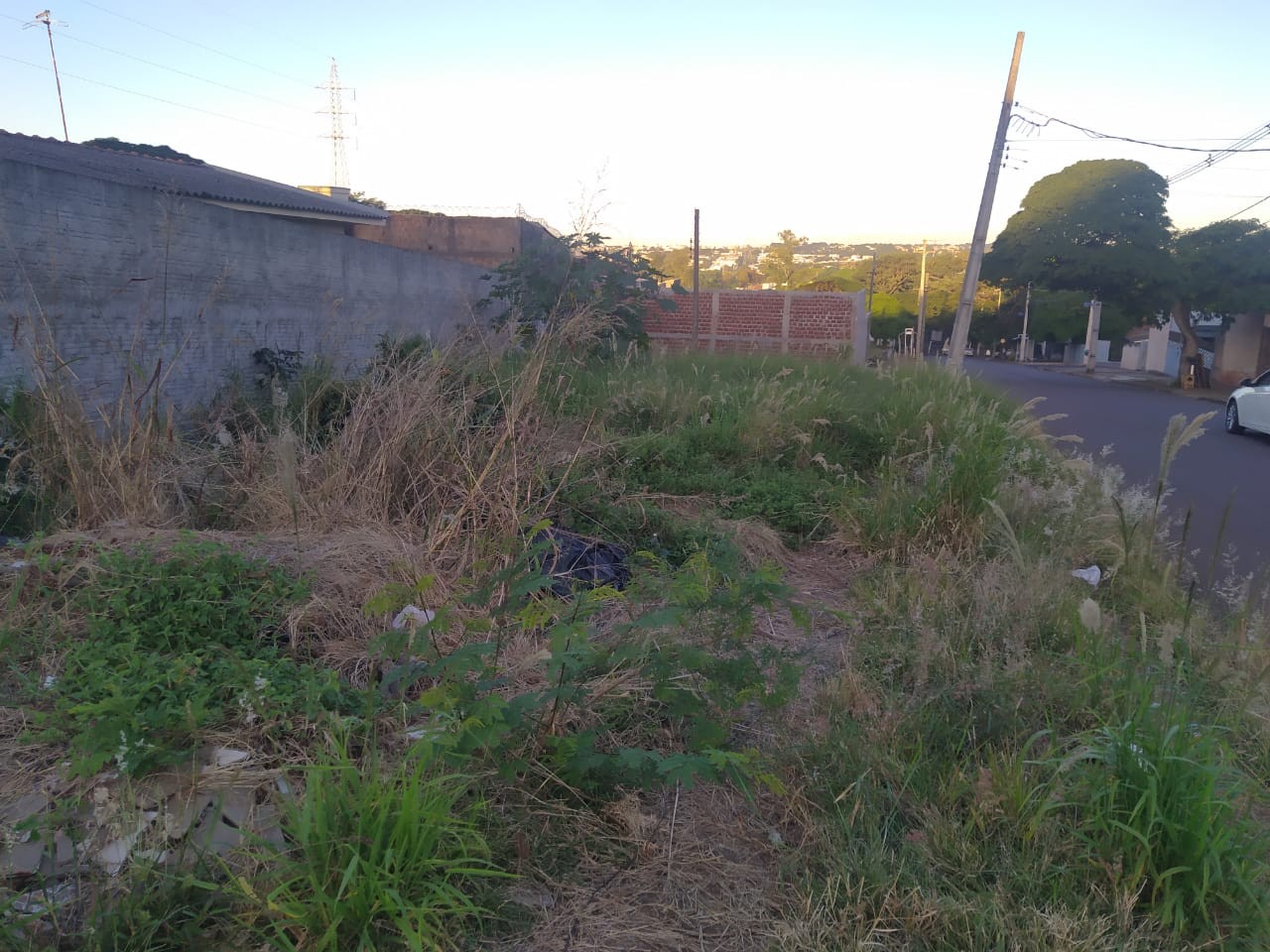 Ouvinte reclama de mato alto em terreno do Jardim Alvorada
