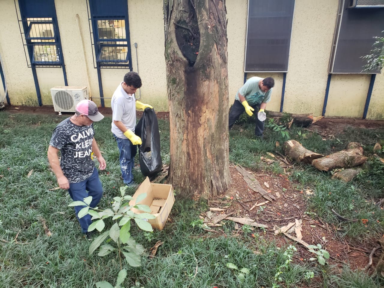 Em mutirão, servidores limpam campus da UEM