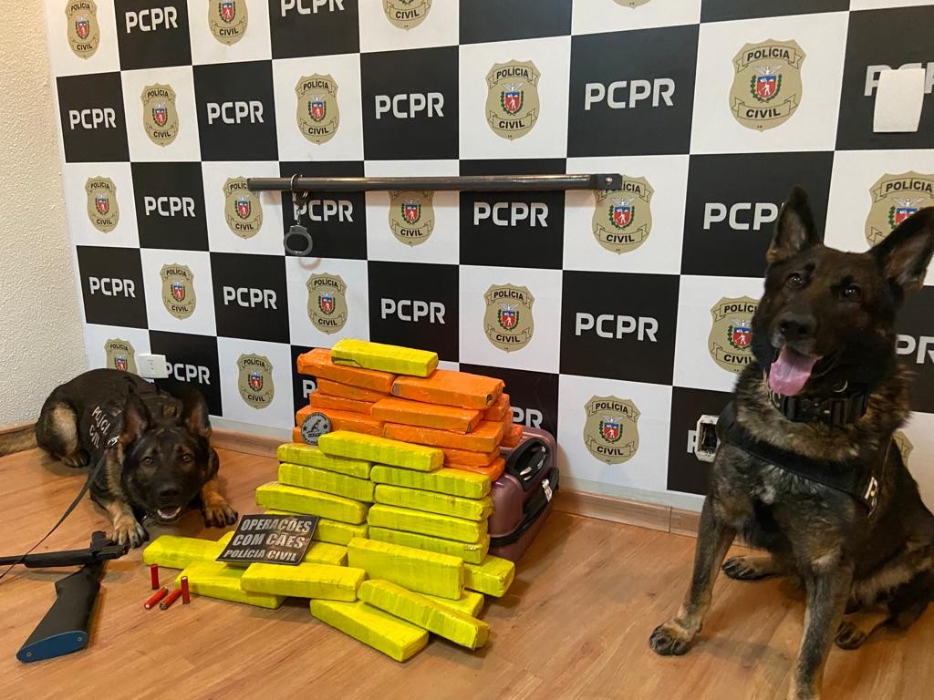 Cães da Polícia Civil localizam drogas e arma em ônibus de linha