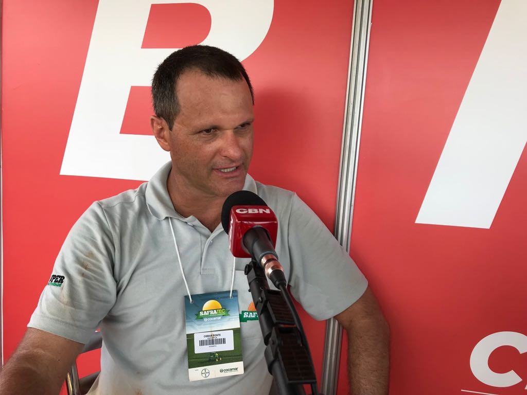 Agricultor não pode se desviar do que é básico em agronomia