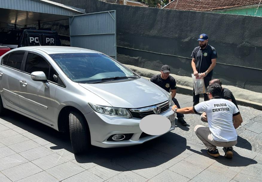 PC identifica motorista que atropelou cachorra comunitária em Ivaiporã